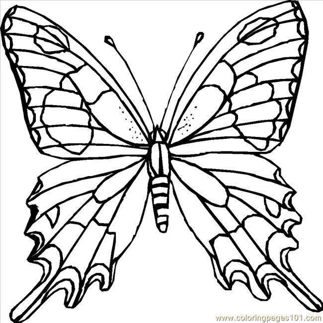 650x651 Butterfly Coloring Pages Printable Butterfly Coloring Page