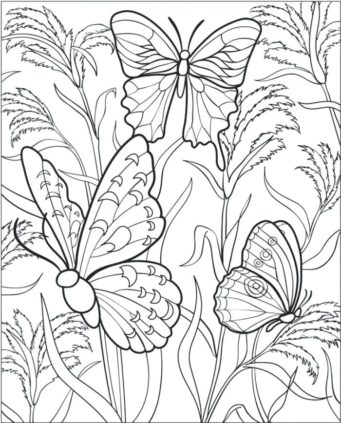 700x868 Flowers And Butterflies Coloring Pages