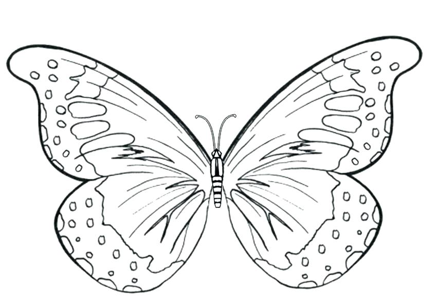 850x600 Simple Butterfly Coloring Pages