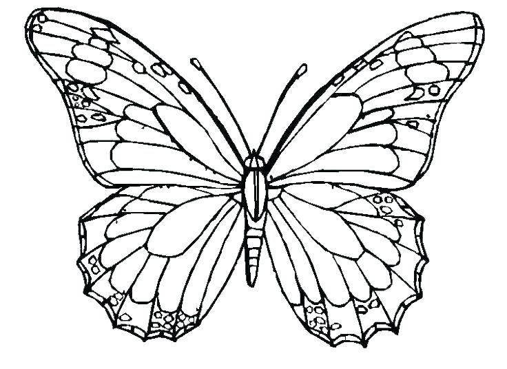 736x536 Butterfly Coloring Pages Butterfly Printable Coloring Pages Cute