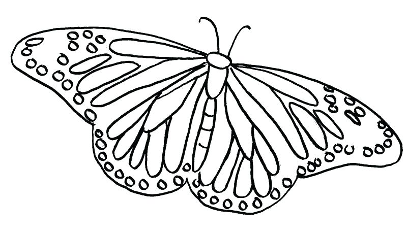 800x463 Butterfly Coloring Pages For Adults Printable Butterfly Coloring