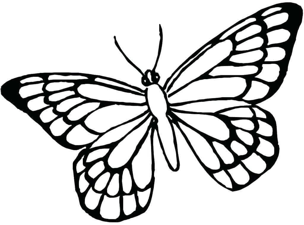 1024x759 Butterfly Coloring Pages For Adults Simple Butterfly Coloring