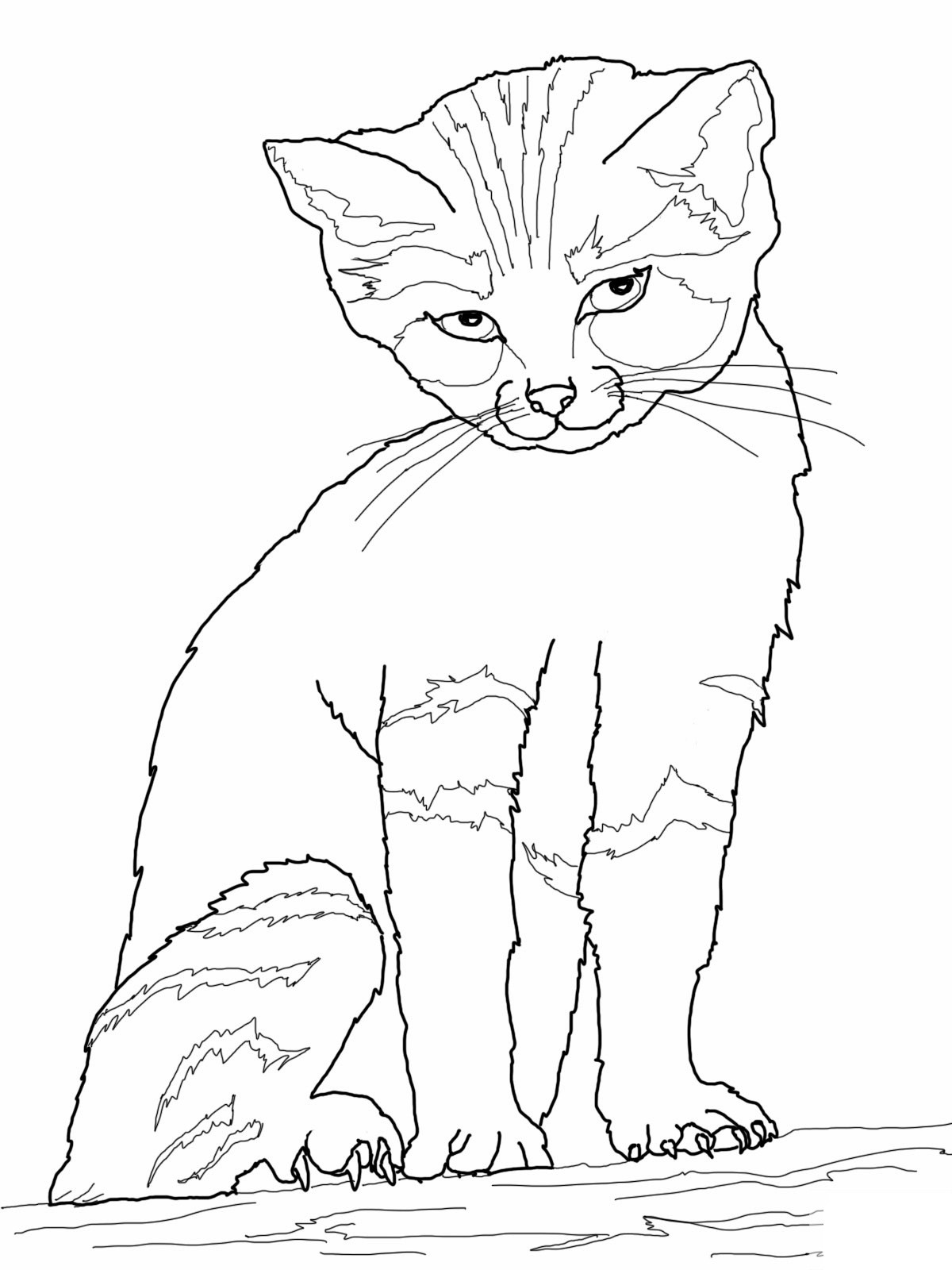 1200x1600 Free Printable Cat Coloring Pages For Kids Inside Cats Acpra