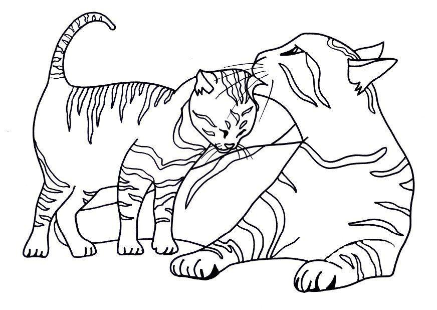 872x618 Images Of Cats To Colour Free Printable Cat Coloring Pages