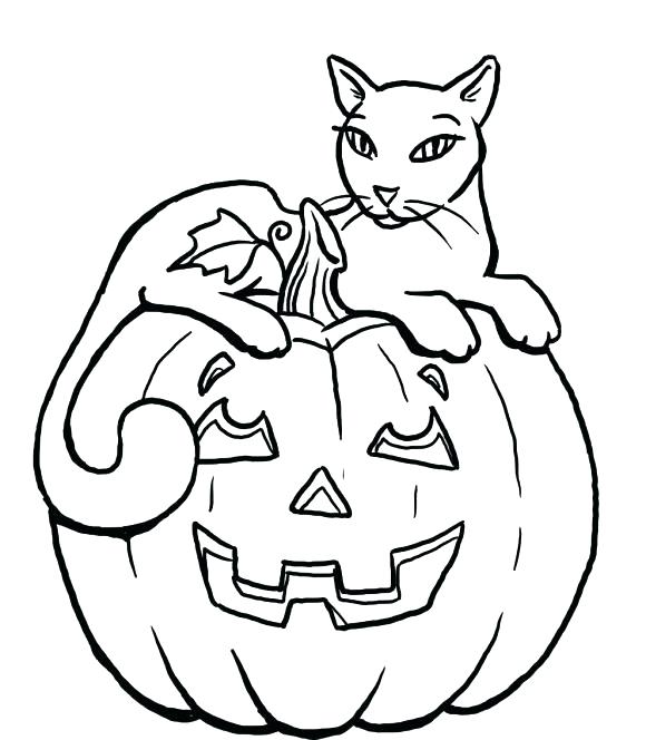 580x664 Realistic Cat Coloring Pages As Well As Cat Coloring Pages