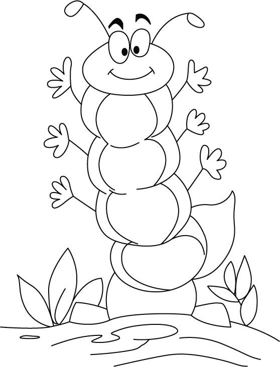 558x732 Caterpillar Coloring Page