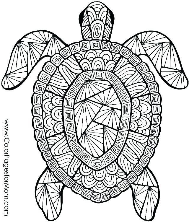 640x755 Cheetah Coloring Pages To Print Cheetah Coloring Pages To Print
