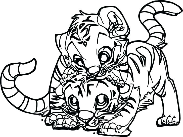 728x547 Printable Baby Cheetah Coloring Pages Flowers Roses Animals Free