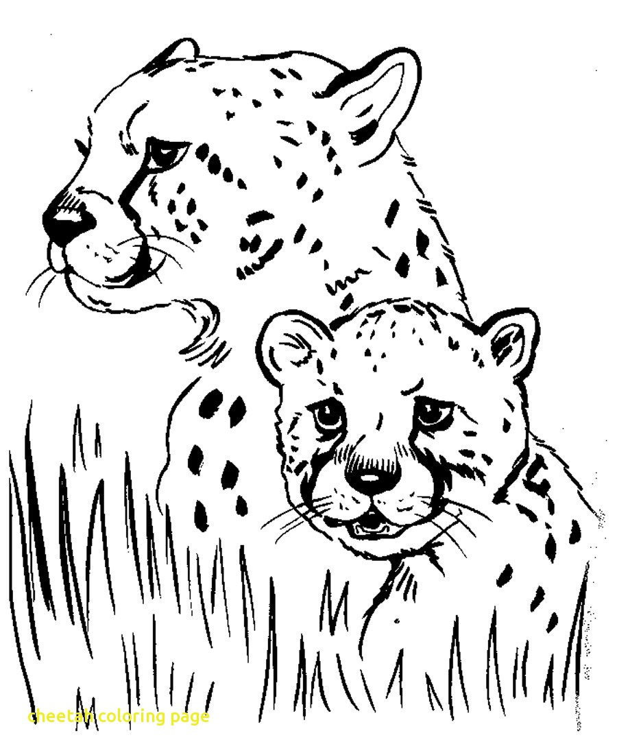 900x1101 Cheetah Coloring Page With Free Printable Pages For Kids