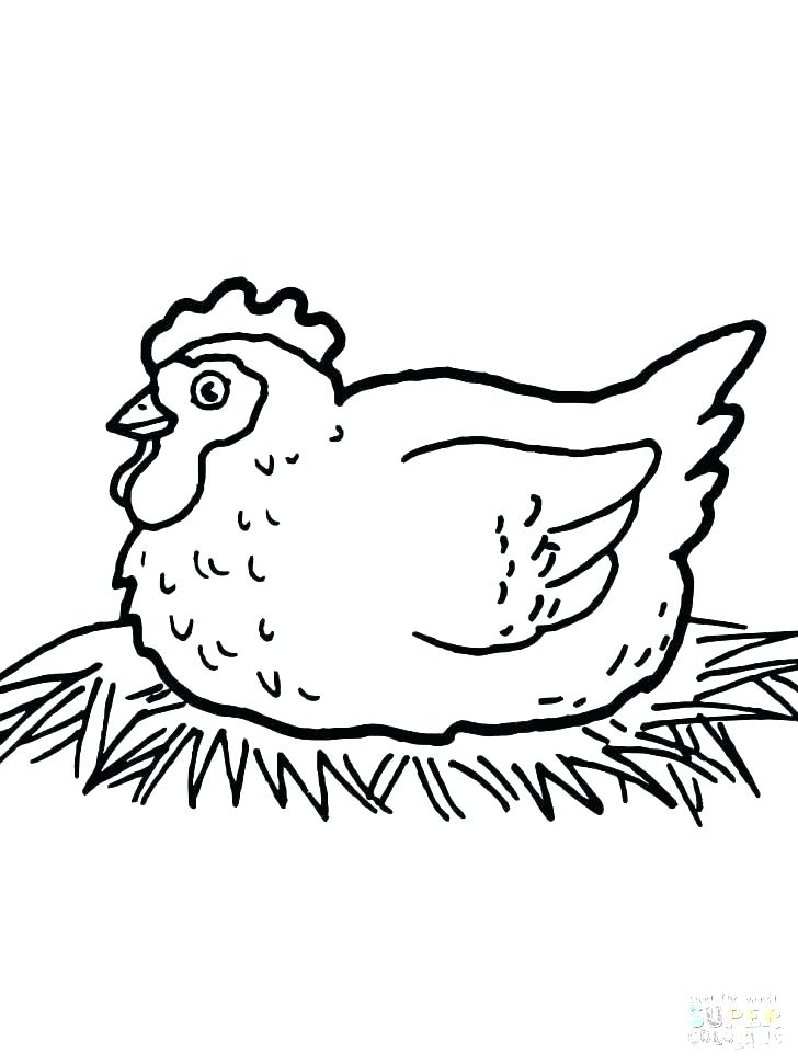 728x971 Coloring Page Chicken Chicken Coloring Page Hen Coloring Pages