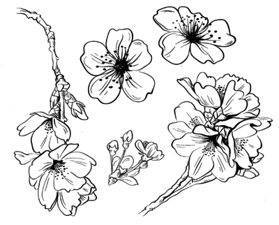 400x322 Colorama Coloring Books Pencils Pages