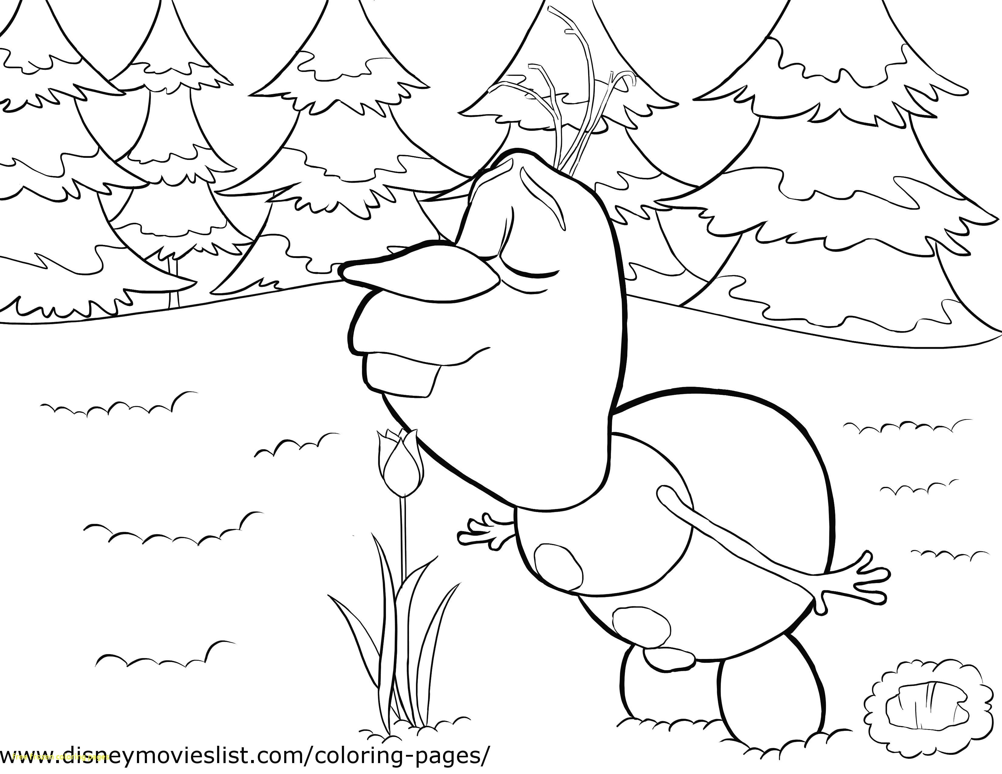 3300x2550 Disney S Frozen Coloring Pages Free Printable Color Within