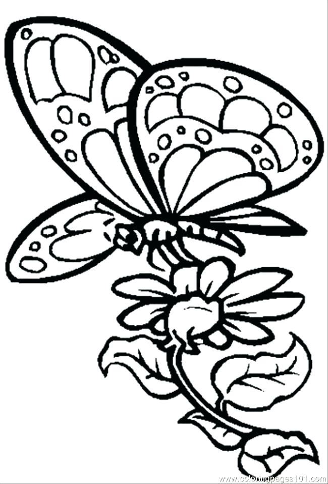 650x958 Coloring Pages Of Flowers And Butterflies Together With Ideas