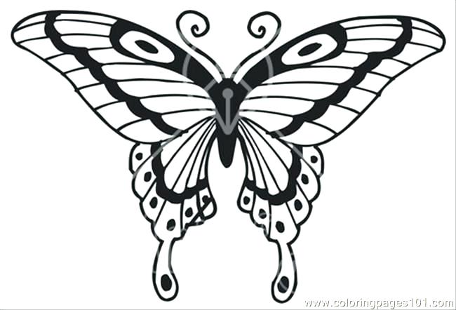 650x442 Coloring Pages Of Flowers And Butterflies With Printable Coloring