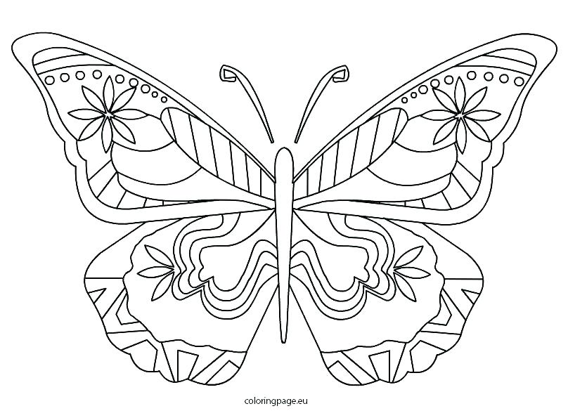 808x595 Encantador Coloring Pages Of Butterflies And Flowers Modelo