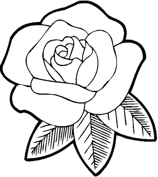 618x690 Free Coloring Pages Flowers And Butterflies Coloring For Kids Free