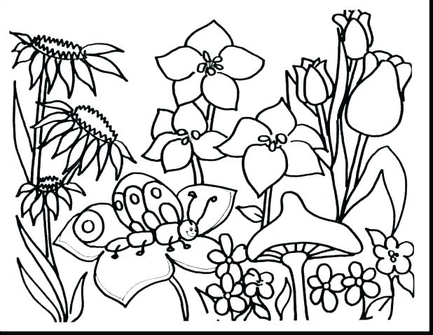 618x478 Free Coloring Pages Flowers Free Printable Coloring Pages Flowers