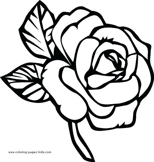 534x563 Free Coloring Pages Flowers Unique Flower Coloring Pages Ideas