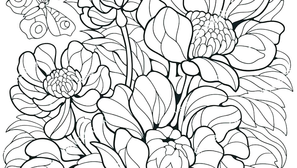 960x544 Butterfly Printable Coloring Pages Free Coloring Pages Flowers