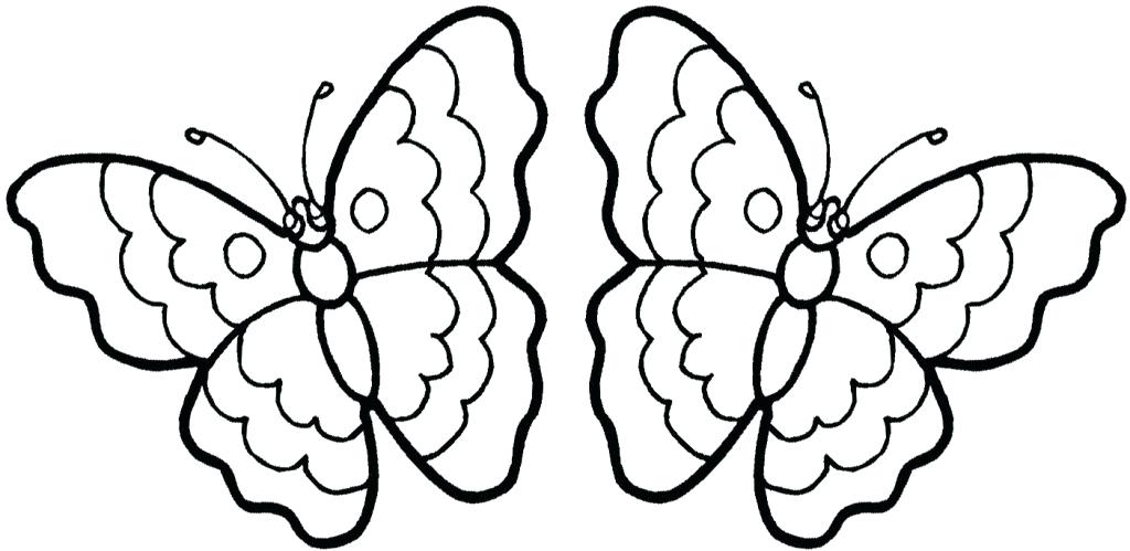 1024x499 Butterfly Printable Coloring Pages Printable Butterfly Coloring