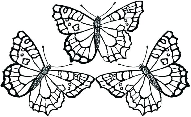 618x380 Printable Pictures Of Butterflies To Color