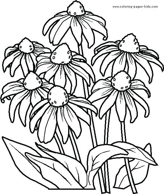 539x639 Coloring Pages Flowers And Butterflies Also Printable Coloring