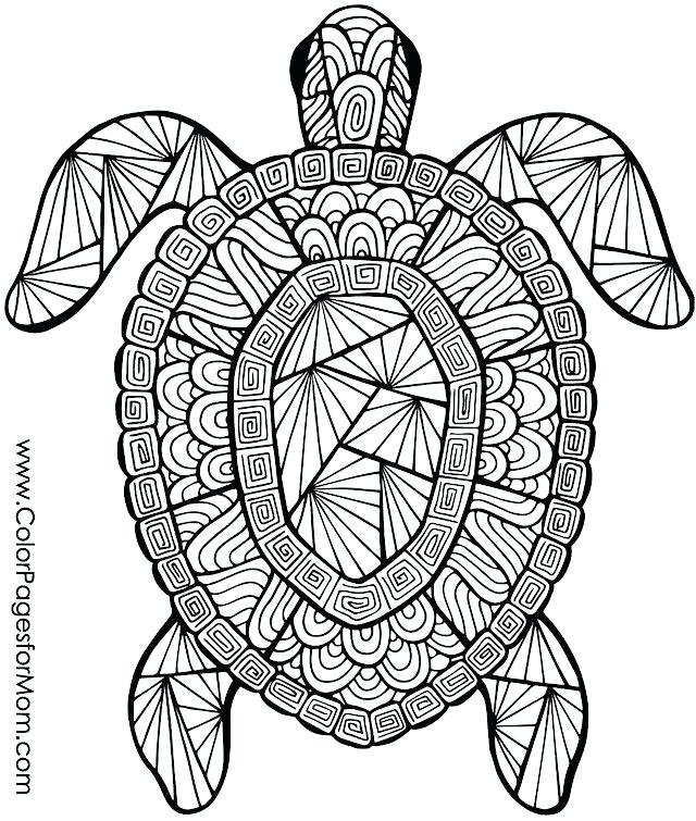 640x755 Coloring Pages Of Animals Super Cute Animal Coloring Pages Baby