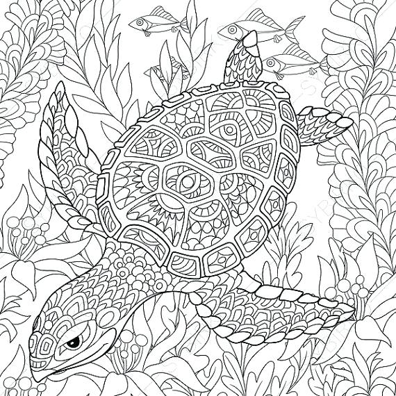 570x570 Animal Coloring Pages Adults Best Color Pages Images