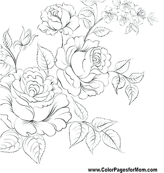 640x676 Flower Mandala Coloring Pages Printable Coloring Mandalas Lotus