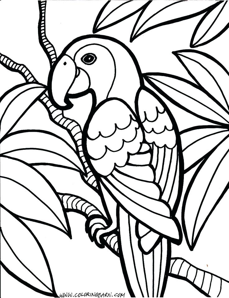 736x957 Printable Coloring Pages Kids Elegant Free Printable Coloring