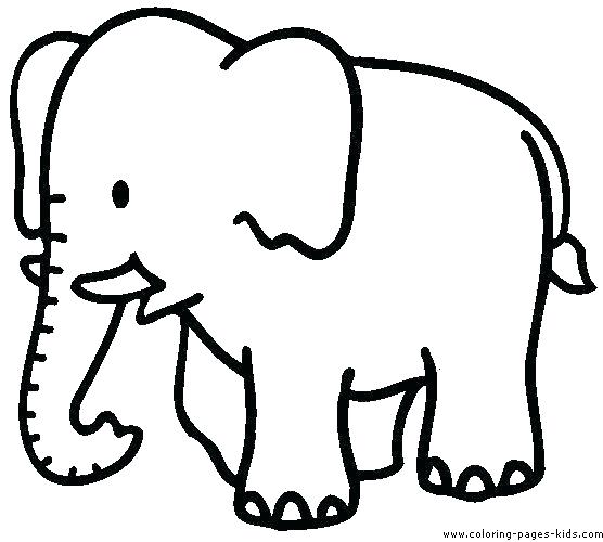 556x500 Print Coloring Pages Animals Comely Cute Animal Pictures To Print