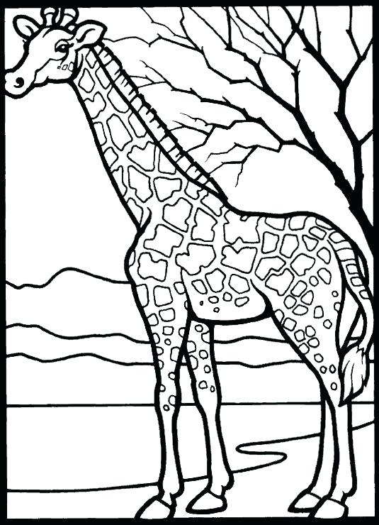 Printable Coloring Pages For Kids Animals at GetDrawings | Free download