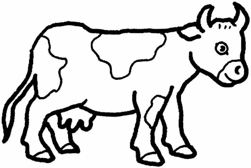 800x536 Coloriage Vache Colorier
