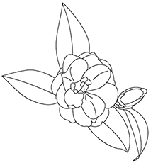 230x230 Top Free Printable Flowers Coloring Pages Online
