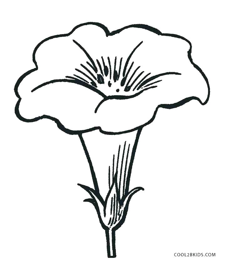 735x850 Coloring Pages Of A Flower Coloring Pages Of A Flower Coloring