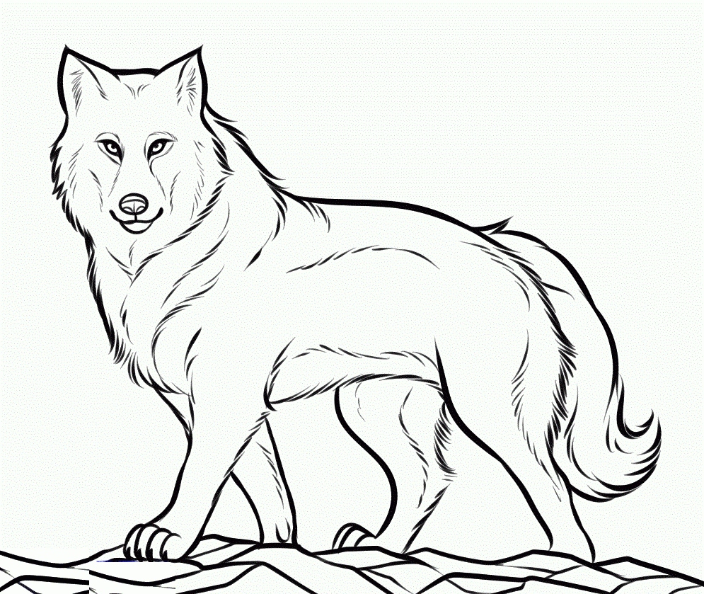 995x839 Wolf Coloring Pages Awesome Wolf Coloring Pages Free Printable