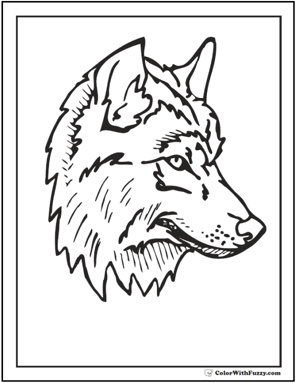 590x762 Wolf Coloring Pages Print And Customize