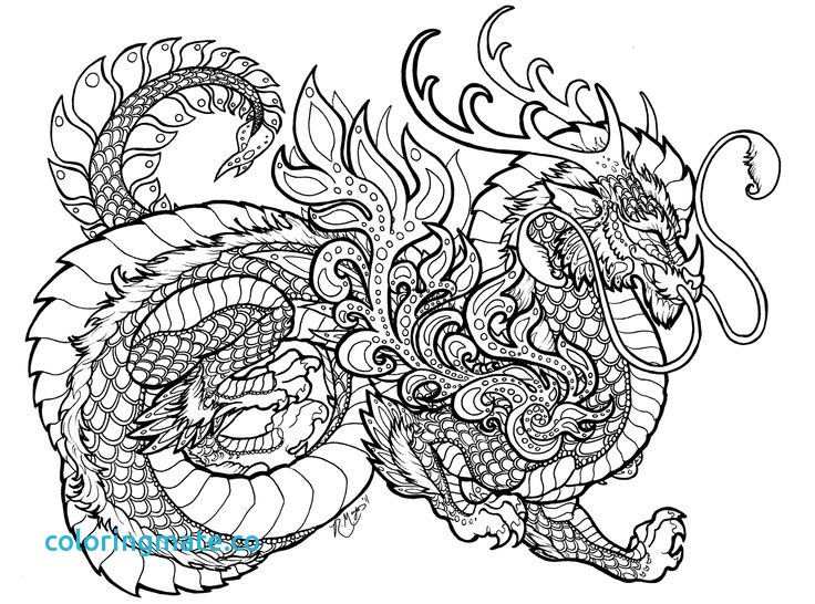 736x546 Printable Complex Coloring Pages Elegant Complex Coloring Pages