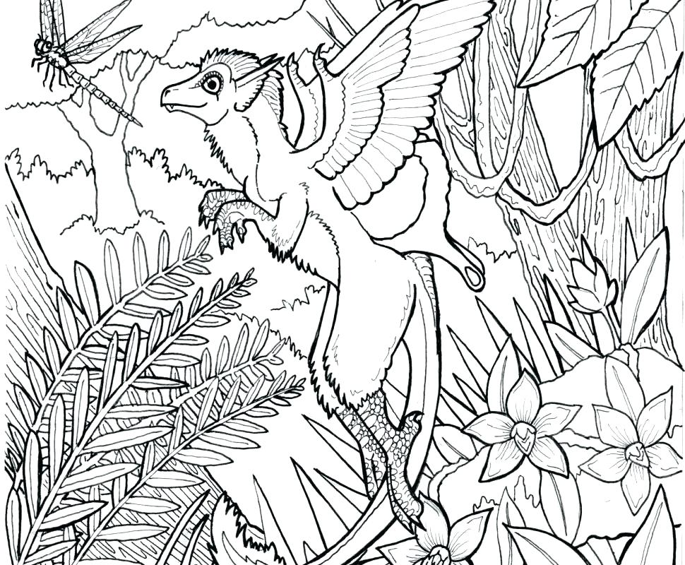 970x800 Terrific Free Butterfly Coloring Pages Terrific Free Butterfly