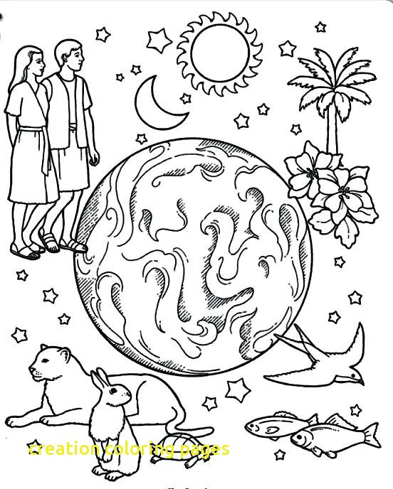 552x688 Creation Coloring Pages With Creation Coloring Pages Printable