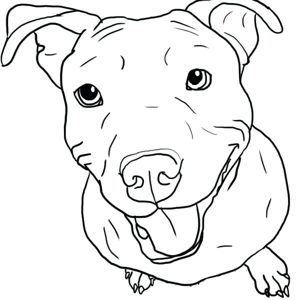 600x600 Puppy Coloring Pages To Print Coloring Pages Coloring Page Free