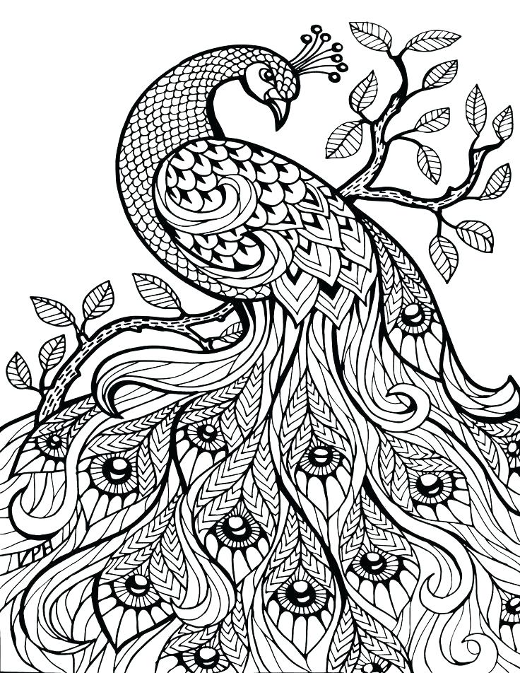 736x952 Free Pattern Coloring Pages Free Pattern Coloring Pages Free