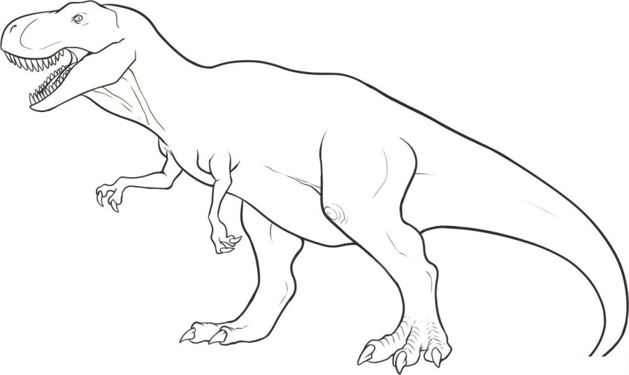 900x536 Fresh Printable Dinosaur Coloring Pages Pictures Funny