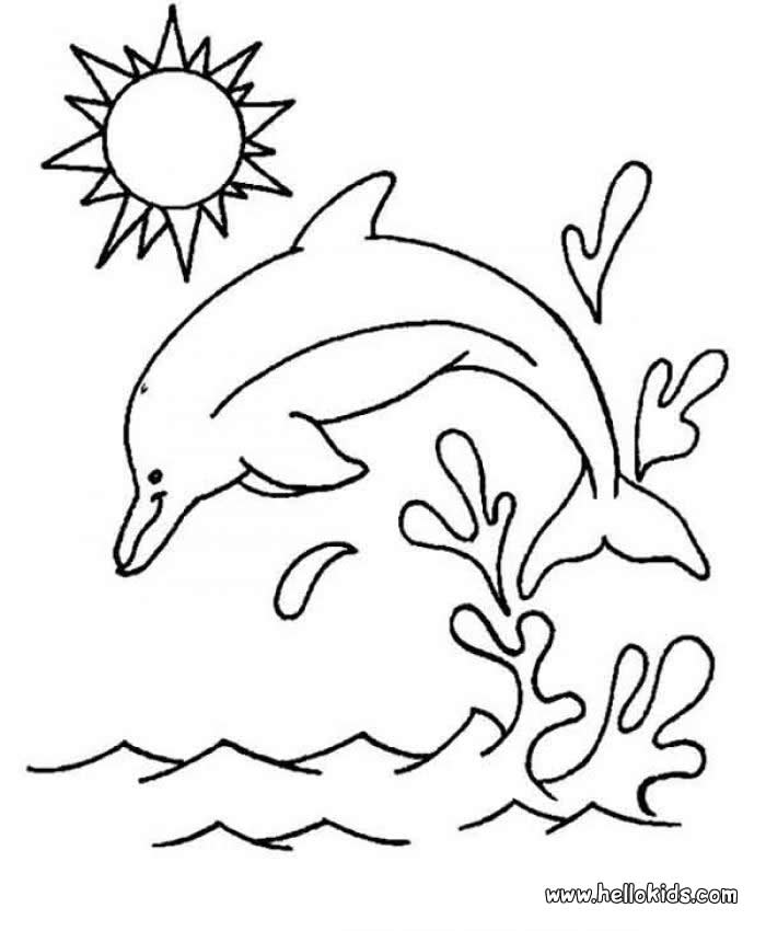 700x850 Drawn Dolphines Coloring Page