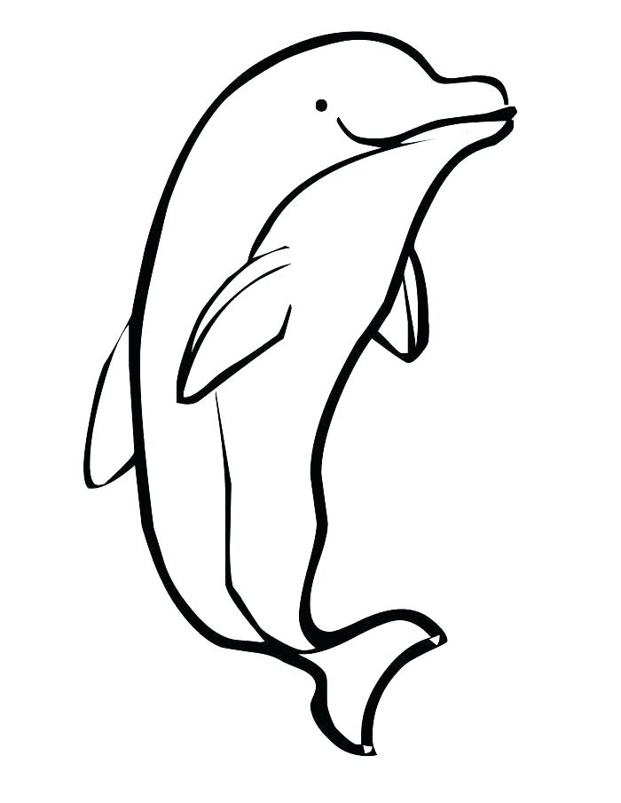 700x905 Dolphin Coloring Pages Printable