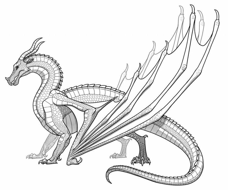 800x668 Dragon Coloring Pages Printable