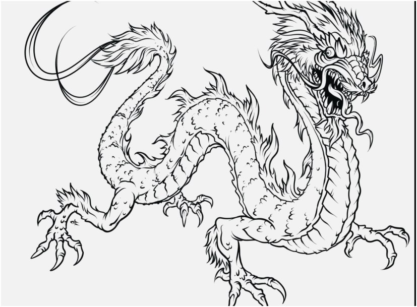 827x609 Printable Dragon Coloring Pages Picture Flying Dragon Coloring