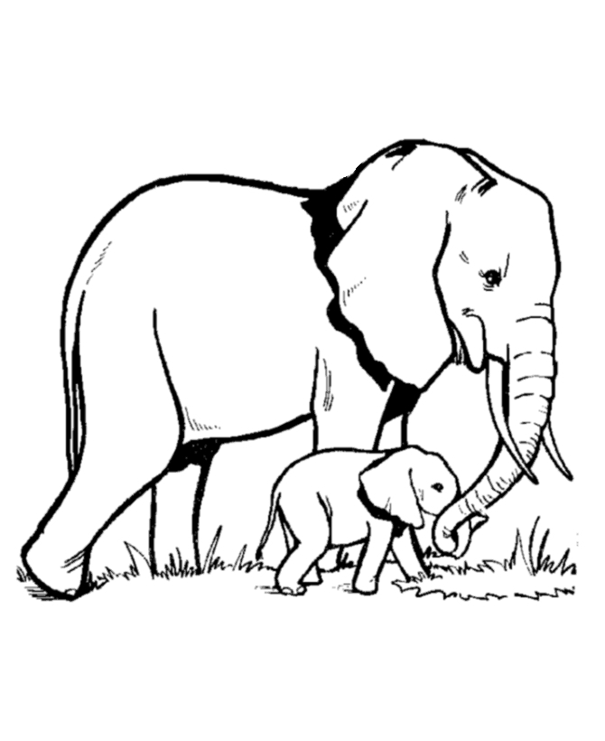670x820 Elephant Coloring Pages Printable Printable Coloring Pages