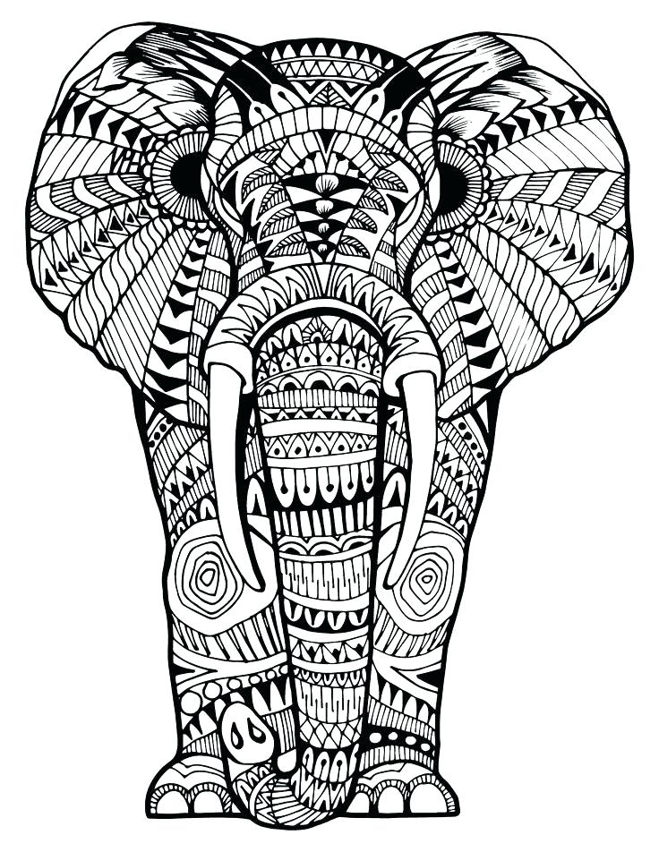 736x952 Coloring Pages Elephants Elephant Coloring Pages And Elephant