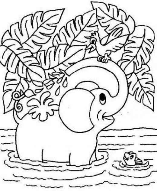 520x635 Elephant Printable Coloring Pages Adult Coloring, Printable